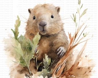 Cute Watercolor Baby Wombat 12 Watercolor Clipart 12 Watercolor Cliparts - Perfect for DIY, Decor &  Commercial Projects