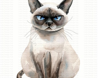 Gato siamês mal-humorado: imagens JPG para uso comercial (download digital)