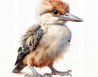 Clipart de bebê Kookaburra em aquarela: Arte de pássaros australianos (download digital)