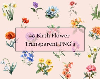 Birth Flower Clipart: 48 Floral PNG Illustrations for Commercial Use