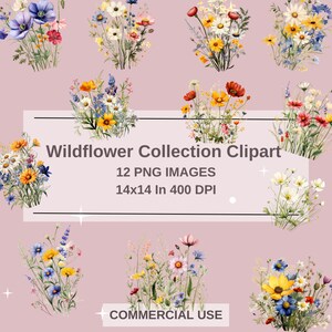 Botanische Wildblumen Clipart: 12 PNG-Bilder (Digitaler Download)