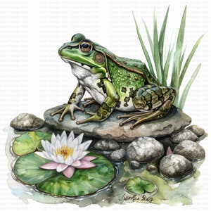 12 cliparts grenouille vert vif, clipart crapaud, clipart aquarelle imprimable, fichiers JPG de haute qualité, téléchargement numérique, créations en papier, journaux indésirables