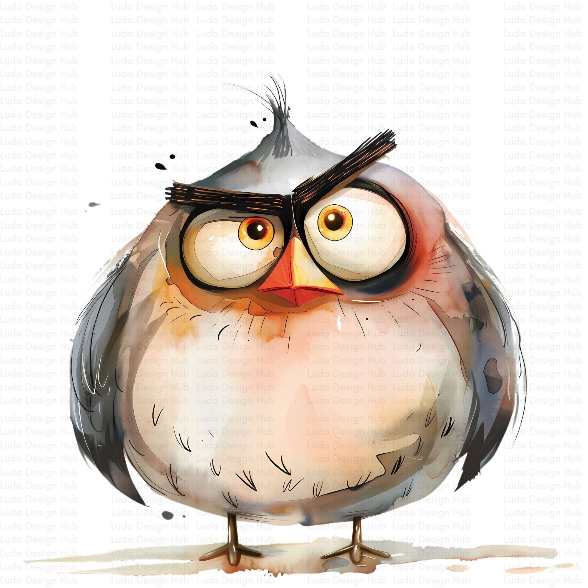 14 Grumpy Birds Clipart Collection , Premium Watercolor Clipart, High ...