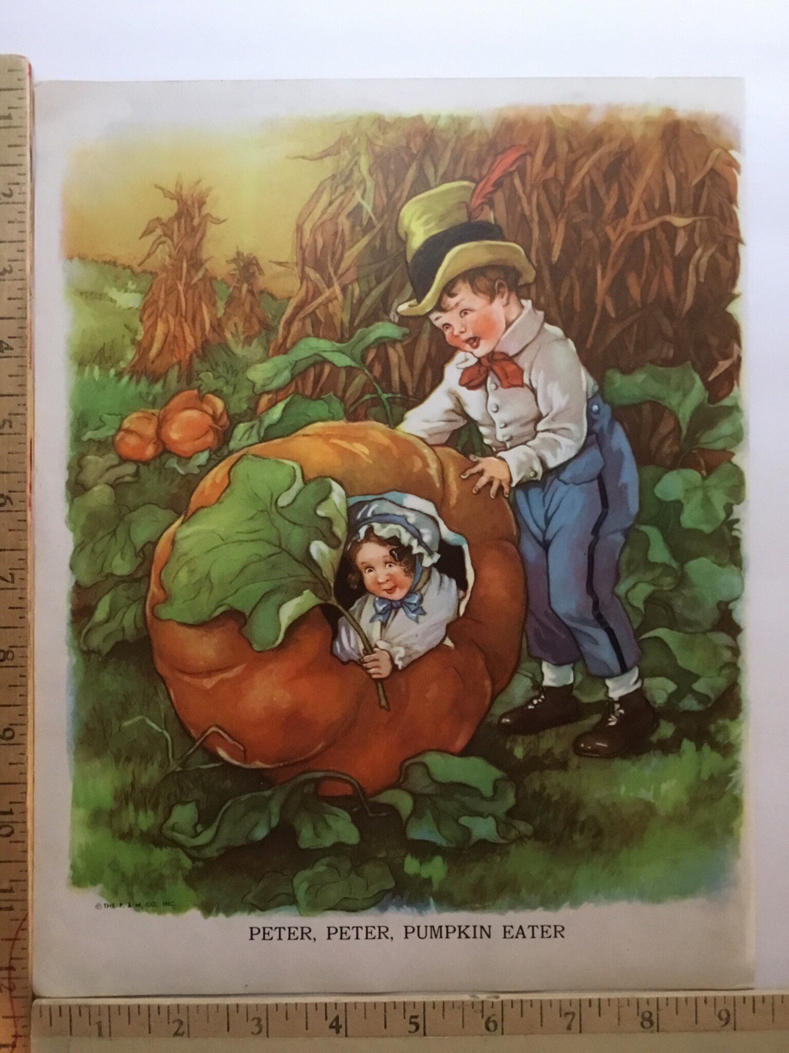 Peter Pumpkin Eater Illustration Children's Nursery Rhyme Etsy