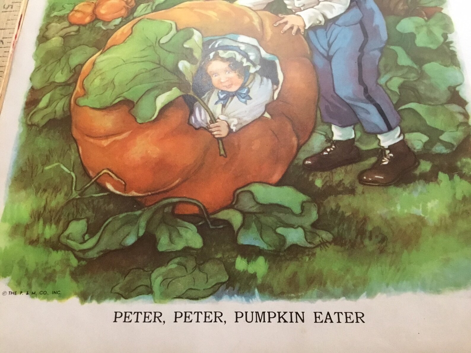 Peter Pumpkin Eater Illustration Children's Nursery Rhyme Etsy