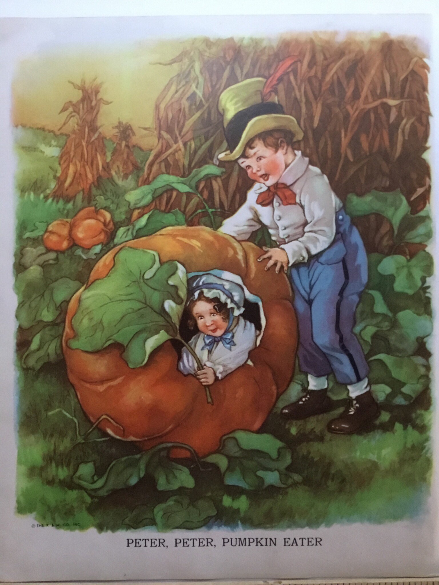 Peter Pumpkin Eater Illustration Children's Nursery Rhyme | Etsy