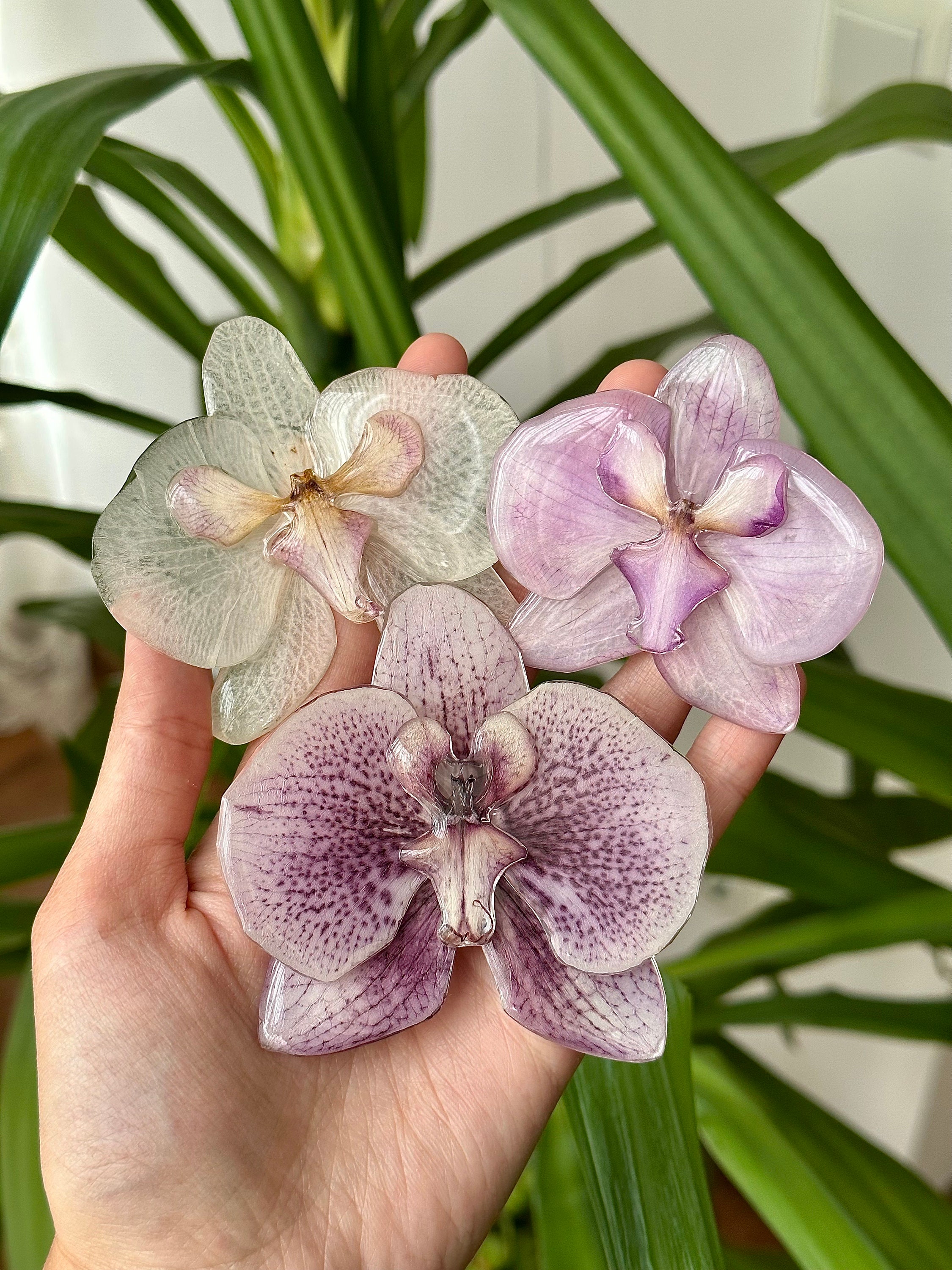 Real orchid hotsell jewelry