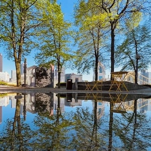 Skyline Reflections