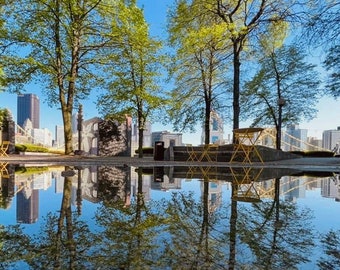 Skyline Reflections