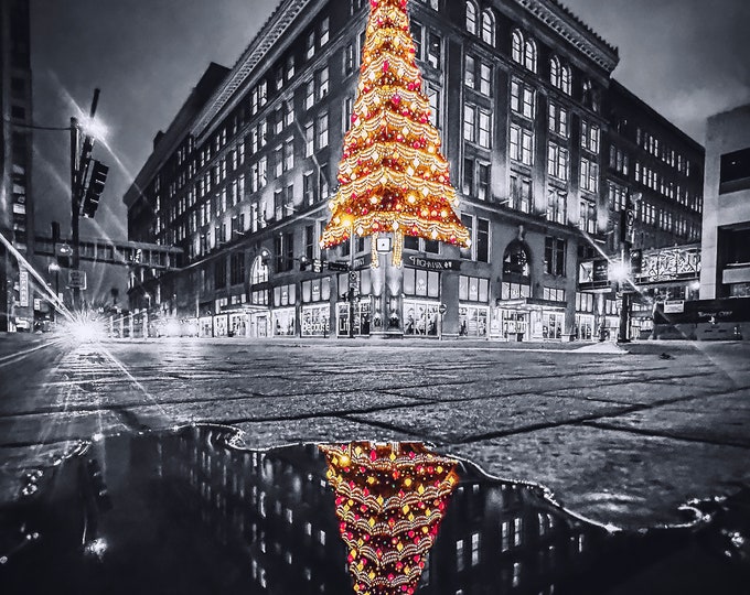 The Old Hornes Department Store Christmas Tree Reflected in a Puddle ...