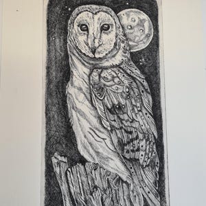 Barn Owl (The Stars Are Mapped Upon Her Wings) original copper plate etching