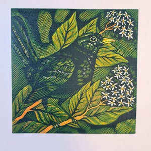 The Blackbird original colour reduction limited edition linocut print