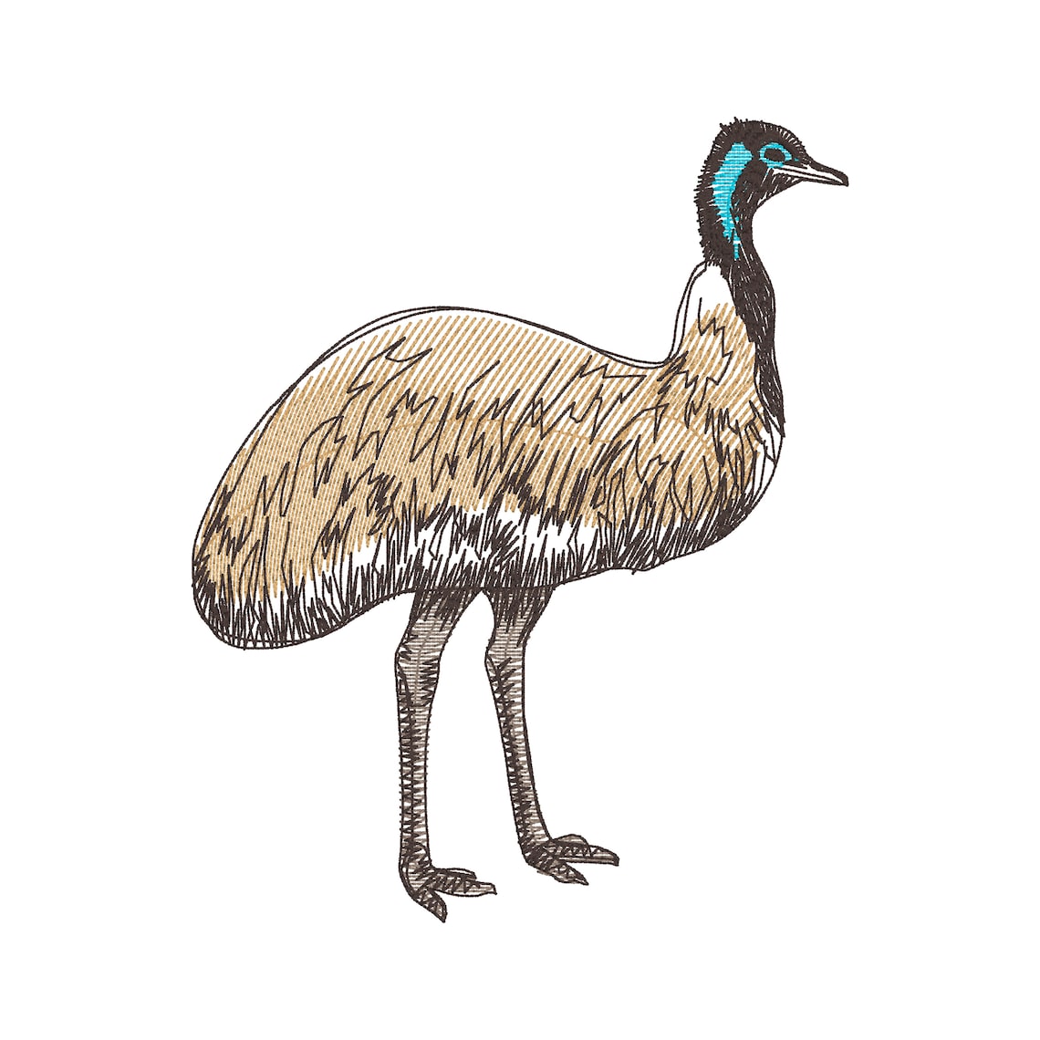 Realistic Emu Sketch Embroidery Design Emu Machine Embroidery Etsy
