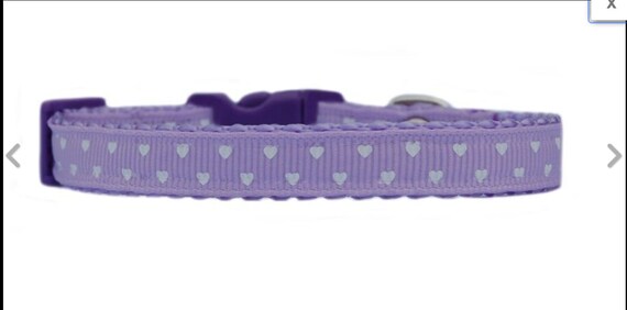 lilac kitten collar