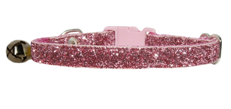 cat collar with bell