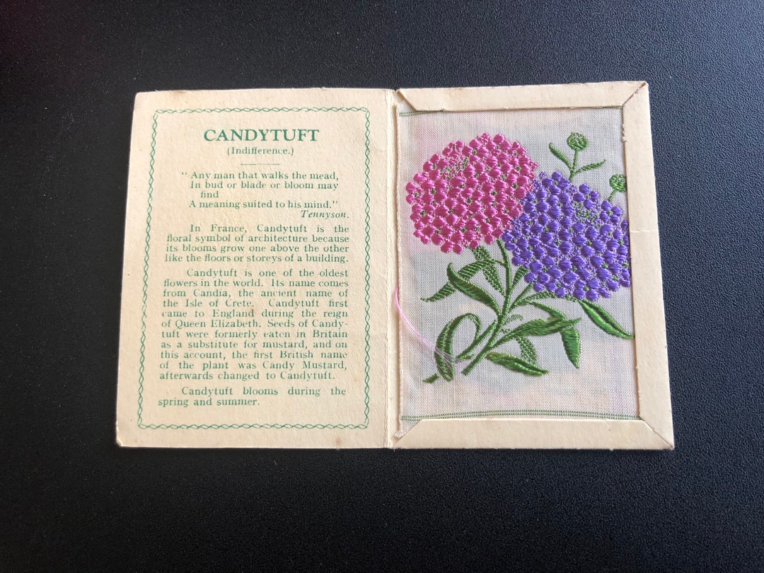 Kensitas Silk Flowers Cigarette Cards 1935 CANDYTUFT B Medium Etsy