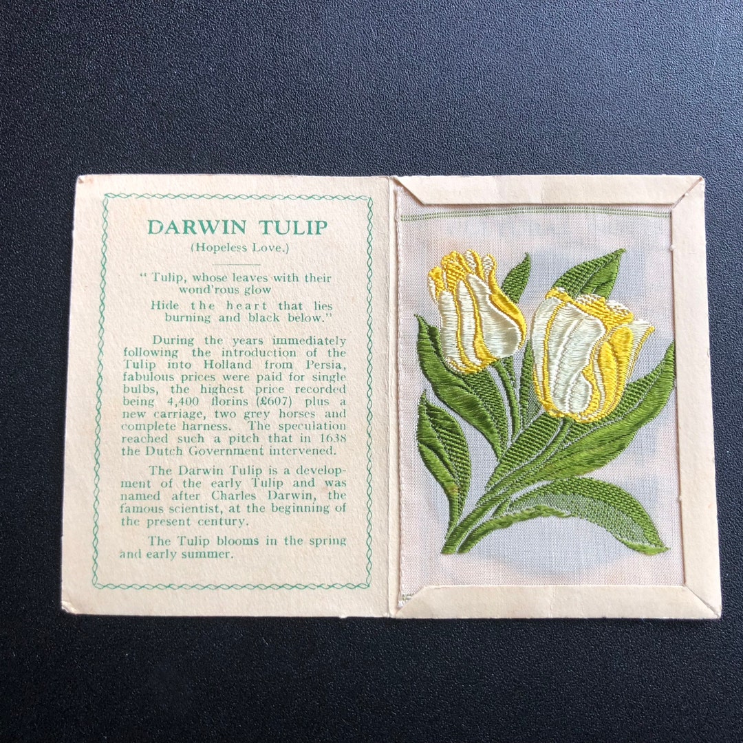 Kensitas Silk Flowers Cigarette Cards 1935 Darwin Tulip B Etsy