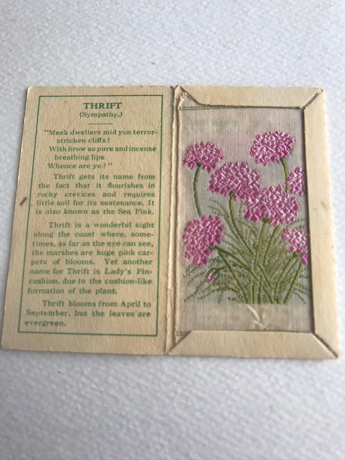 Kensitas Silk Flowers Cigarette Cards 1935 Thrift C Small Size Etsy
