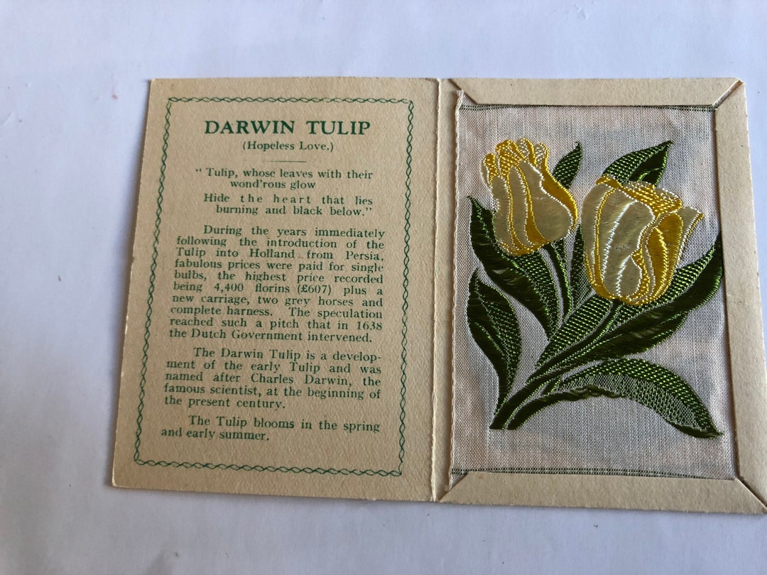 Kensitas Silk Flowers Cigarette Cards 1935 Darwin Tulip C Etsy