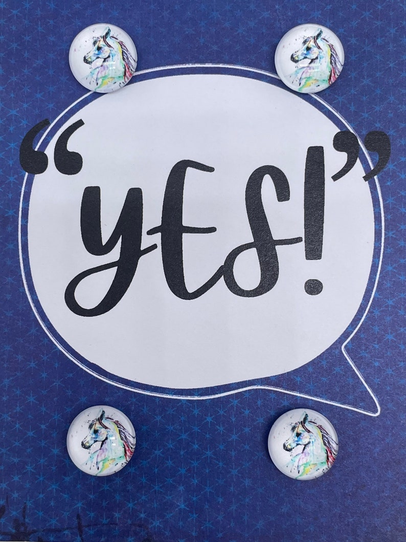 My Little Pony Horse Show Number Pins Etsy