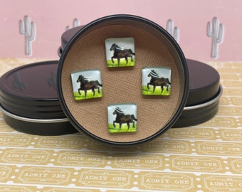 Kentucky - Horse Show Number Magnetic Pins - Magnetic Number Holder