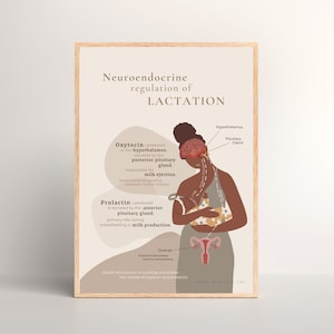 Oxytocin & Prolactin Poster (colored) // lactation consultant, educational breastfeeding poster, black mother, counselor, DIGITAL DOWNLOAD