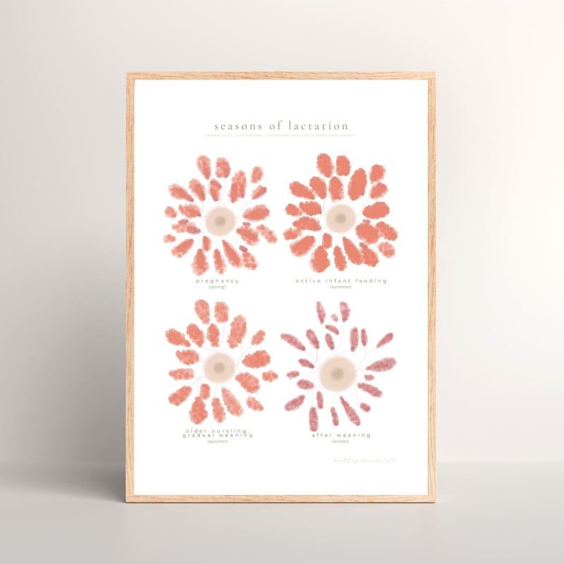 Lactation Room Sign - Etsy
