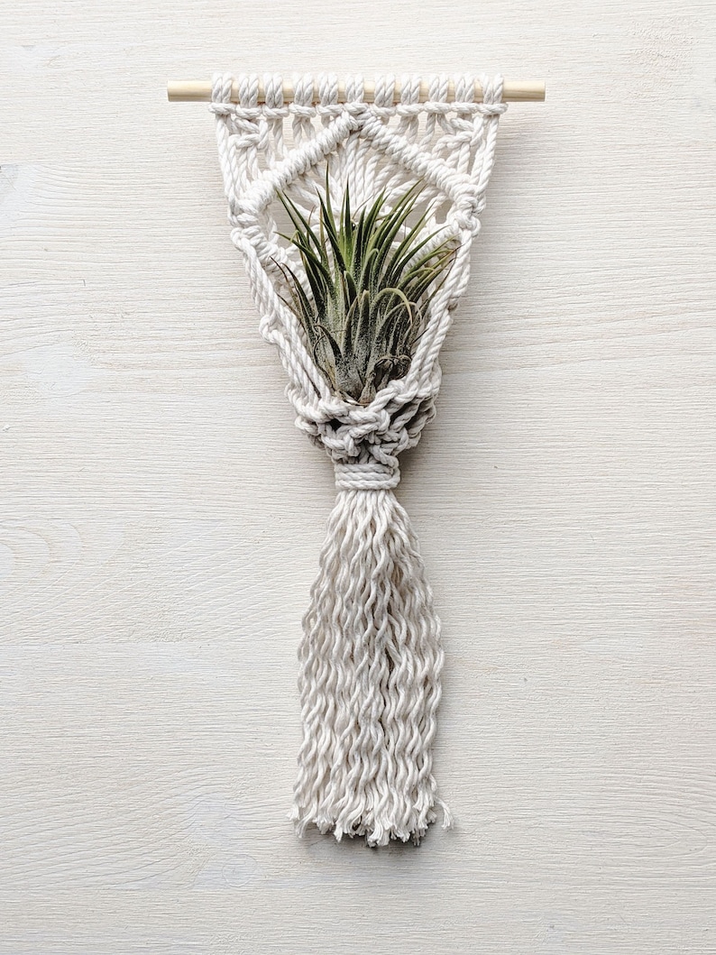 DIY Macrame Plant Hanger KIT Etsy