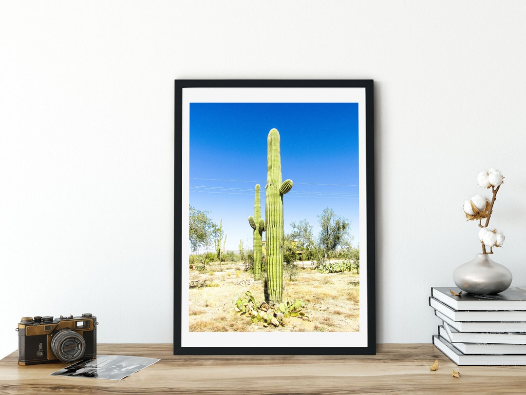 Saguaro Cactus Wall Artfine Art Photographyarizonaamerican Sonoran