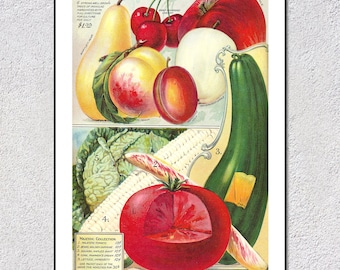 Vintage Fruit Vegetable Seed Poster | Kitchen & Farmhouse Wall Art