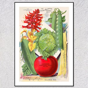 Vintage Vegetable Poster Reproduction | Tomato Cabbage Peas Seed Catalog Print | Rustic Kitchen Wall Art