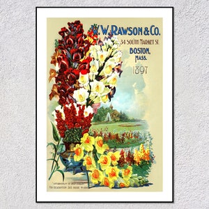 1897 Flower Catalog Poster | Antique Botanical Print Reproduction | Vintage Wall Art