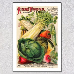 Reproduction d'affiche vintage de légumes | Impression rustique de maïs, de chou et de racines | Décoration murale jardin du sud