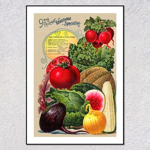 de légumes des années 1890 | Carte du jardin vintage avec tomates, maïs, oignon | Décoration murale de cuisine rustique