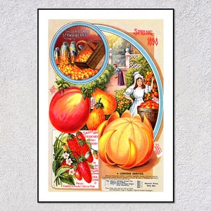 affiche de jardin de printemps 1898 | Oranges, tomates et fraises | Impression d'art murale vintage Fruits