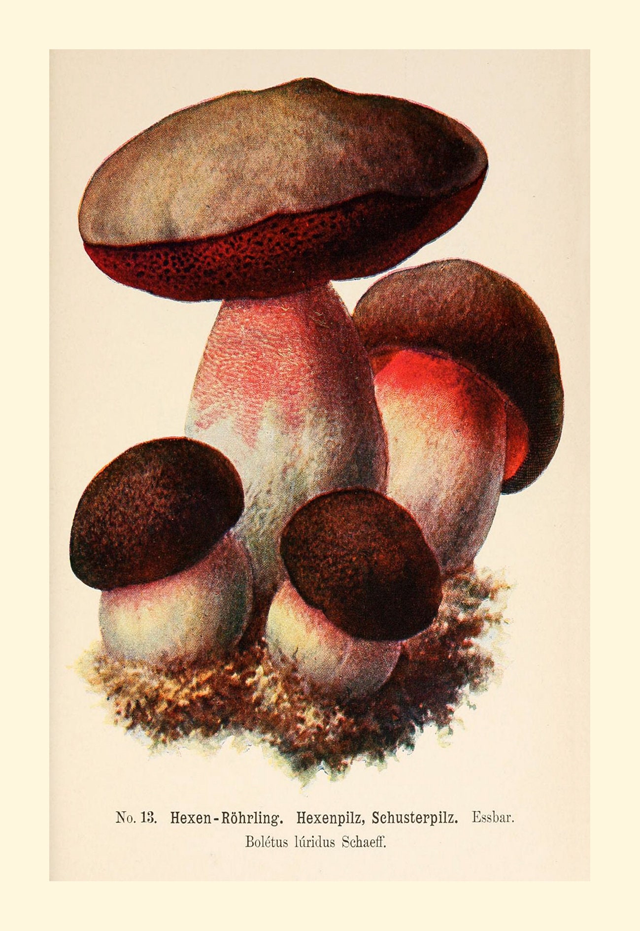 Mushroom Jar, Vintage Psychedelic Rainbow Illustration Postcard for Sale  by chrystakay