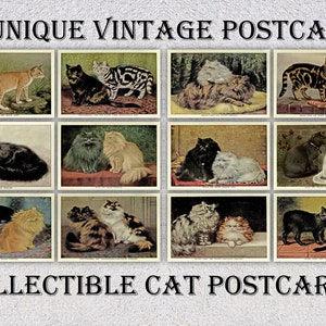 de reproduction de cartes postales chat vintage | 12 cartes d'art félin anciennes | Pack de chats à collectionner