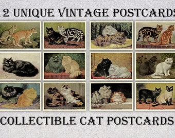 Lot de 12 cartes postales vintage chat - Cartes postales anciennes et vintage - Cartes postales de collection - 10 x 15 cm ou 13 x 18 cm (4 po. X 6 po.)