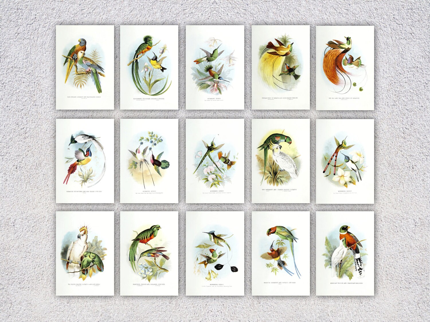 ヌーディストビーチ コンテスト ポロリ画像で見るアイドル放送事故BEST あまちゃん・半沢直樹・ビッグダディ … コレクション