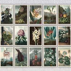 Set mit 15 floralen Postkarten - VICTORIAN FLOWERS - Vintage Grußkarten - 10 X 15 cm - 5 "X 7" oder 13 X 18 cm