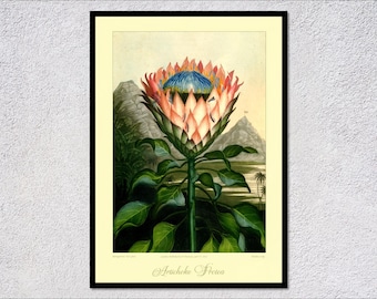 Botanische Blumen Illustration | Vintage Flora Kunstwerk für Wohnkultur
