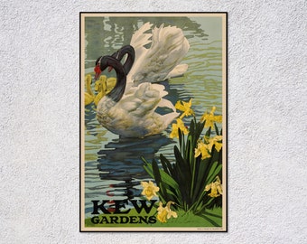Kew Gardens Swan Poster Reproduction | Vintage Bird and Flower Print | Botanical Pond Wall Art