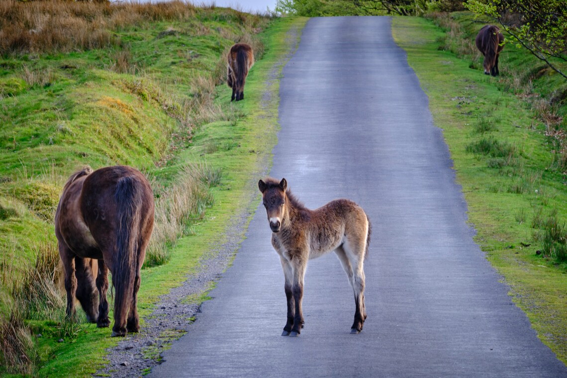 Beautiful North Devon Calendar 2024 Etsy