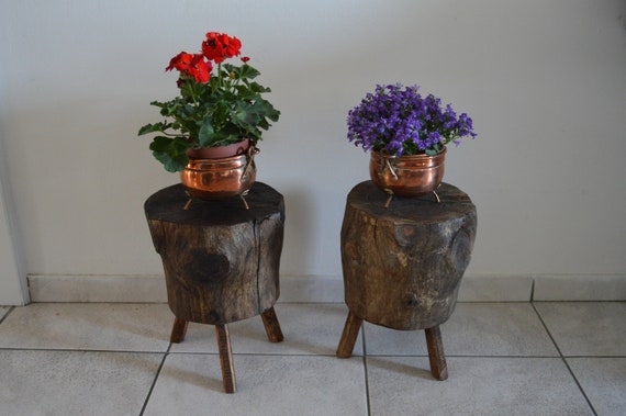 Natural Tree Trunk Wood Stump On Three Legs Plant Stand Etsy