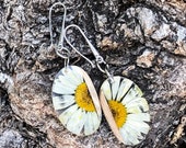 Сhamomile Flowers Earrings, Real Flower Earrings for Women, Terrarium Botanical Jewelry, Nature Gift for Women, Boho Earrings