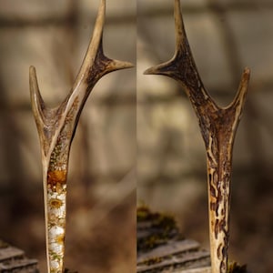 Può includere: Due forcine per capelli a forma di corno. Una è riempita di fiori secchi in resina trasparente. L'altra ha un motivo naturale di corno. Entrambe sono marroni e beige.