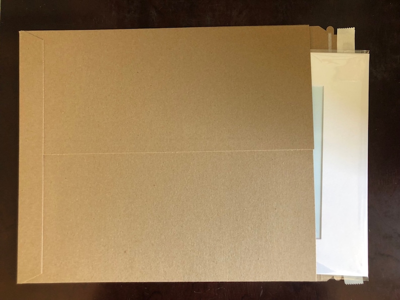 May include: A brown paper envelope with a white envelope inside. The white envelope is sealed with tape.