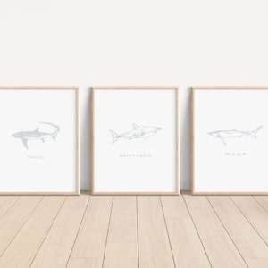 Shark Nursery Prints, Shark Poster, Ocean Themed Nursery, Printable Shark Species Wall Art, Shark Art, Set of Three Nursery Prints, Sharks