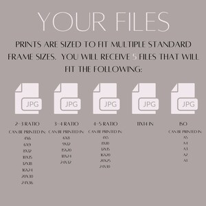 May include: A graphic showing five different JPG files that can be printed in various standard frame sizes. The sizes are listed for 2-3 ratio, 3-4 ratio, 4-5 ratio, 11x14 inches, and ISO sizes.