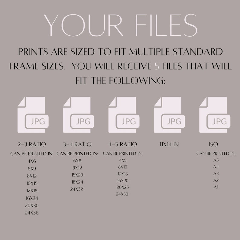 May include: A graphic showing five different JPG files that can be printed in various standard frame sizes. The sizes are listed for 2-3 ratio, 3-4 ratio, 4-5 ratio, 11x14 inches, and ISO sizes.